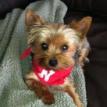 Gracie lives in Nebraska City, NE