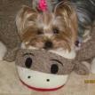 Daisy now lives in Nebraska City, NE